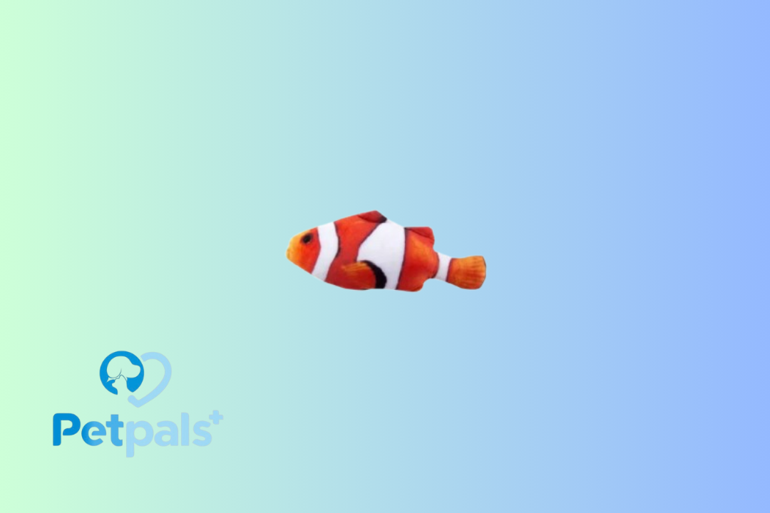 Plush Stuffed Fish Catnip Toy Nemo